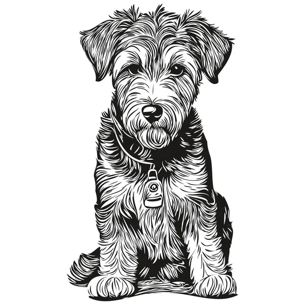 Lakeland Terrier Chien Crayon Dessin Main Vecteur Contour Illustration Animal — Image vectorielle