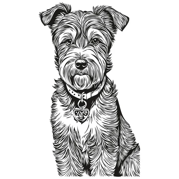 Croquis Pour Chien Lakeland Terrier Illustration Vecteur Gravure Noir Blanc — Image vectorielle