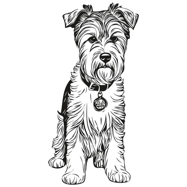 Lakeland Terrier Hund Realistische Bleistiftzeichnung Vektor Linienkunst Illustration Von Hundegesicht — Stockvektor
