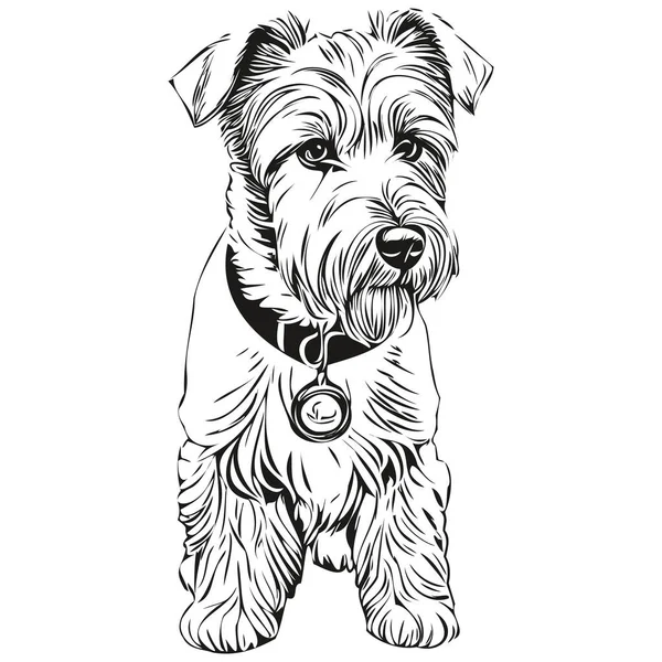 Chien Lakeland Terrier Illustration Réaliste Pour Animaux Compagnie Dessin Main — Image vectorielle