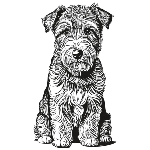 Lakeland Terrier Pies Realistyczny Zwierzak Ilustracja Ręka Rysunek Twarz Czarny — Wektor stockowy