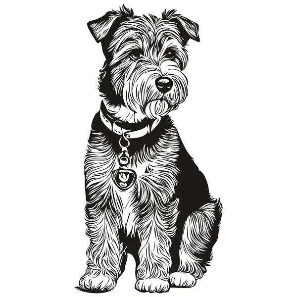 Lakeland Terrier Pies Sylwetka Pet Charakter Klip Sztuka Wektor Zwierzęta — Wektor stockowy