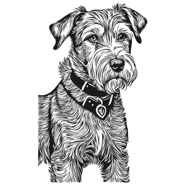 Lakeland Terrier Pies Koszulka Druk Czarno Biały Ładny Zabawny Zarys — Wektor stockowy