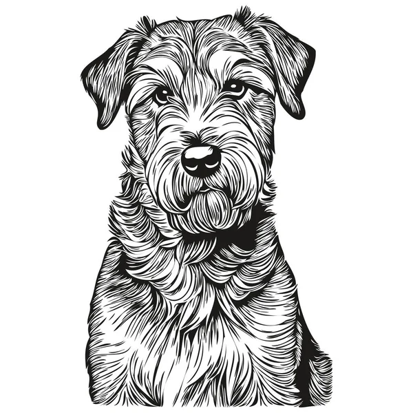 Lakeland Terrier Chien Vecteur Visage Portrait Dessin Croquis Style Vintage — Image vectorielle