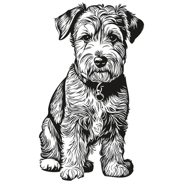 Lakeland Terrier Perro Vector Cara Dibujo Retrato Bosquejo Estilo Vintage — Archivo Imágenes Vectoriales