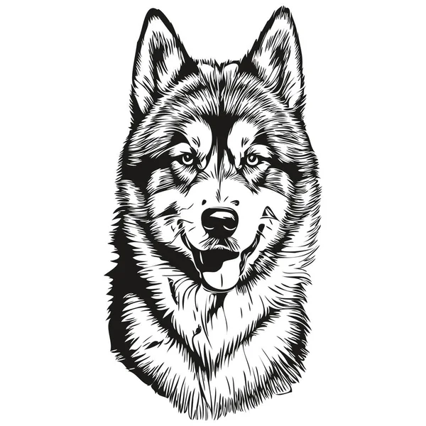 Malamute Σκυλί Φυλή Γραμμή Σχέδιο Κλιπ Τέχνης Ζώο Χέρι Σχέδιο — Διανυσματικό Αρχείο