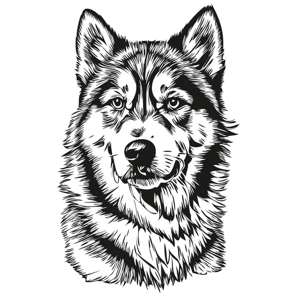 Malamute Hund Cartoon Gesicht Tusche Porträt Schwarz Weiß Skizze Zeichnung — Stockvektor