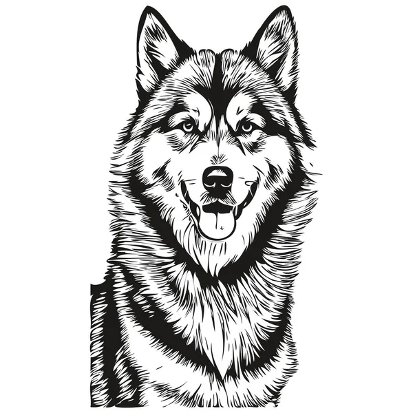 Malamute Perro Cara Dibujos Animados Retrato Tinta Dibujo Del Boceto — Vector de stock
