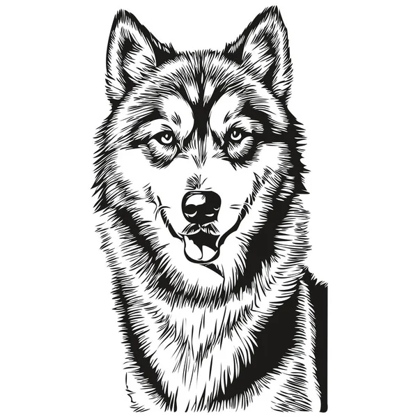 Malamute Hunderasse Linie Zeichnung Clip Art Tier Hand Zeichnung Vektor — Stockvektor
