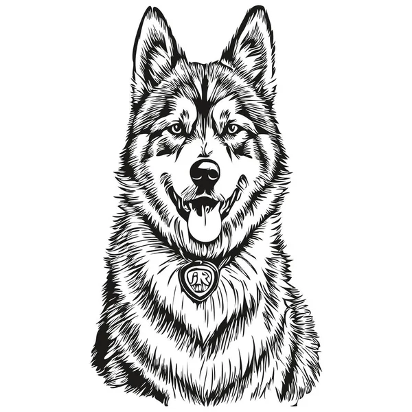 Malamute Köpek Yüzü Vektör Portresi Komik Ana Hatlı Hayvan Çizimi — Stok Vektör