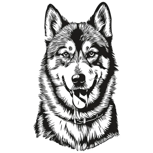 Malamute Hund Huvud Linje Ritning Vektor Handritad Illustration Med Transparent — Stock vektor