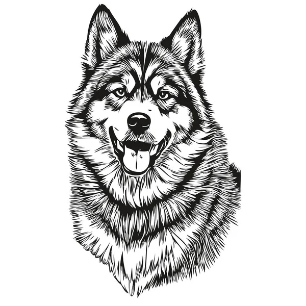Malamute Pes Ručně Kreslené Logo Kreslení Černá Bílá Čára Umění — Stockový vektor