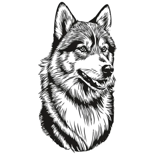Malamute Köpek Mürekkebi Çizimi Klasik Dövme Tişört Baskısı Siyah Beyaz — Stok Vektör