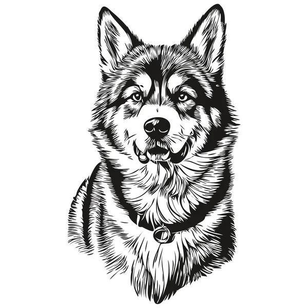 Malamute Hund Hand Dras Logotyp Ritning Svart Och Vit Linje — Stock vektor