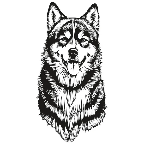 Malamute Pies Linia Ilustracja Czarny Biały Szkic Twarz Portret Wektorze — Wektor stockowy