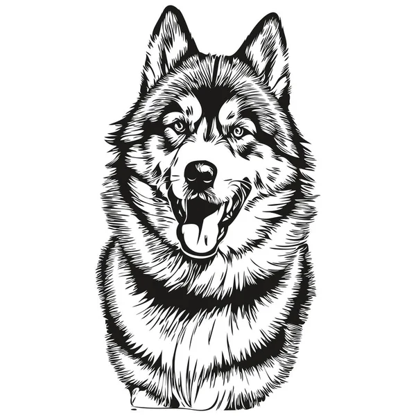Malamute Hund Kontur Penna Teckning Konstverk Svart Tecken Vit Bakgrund — Stock vektor