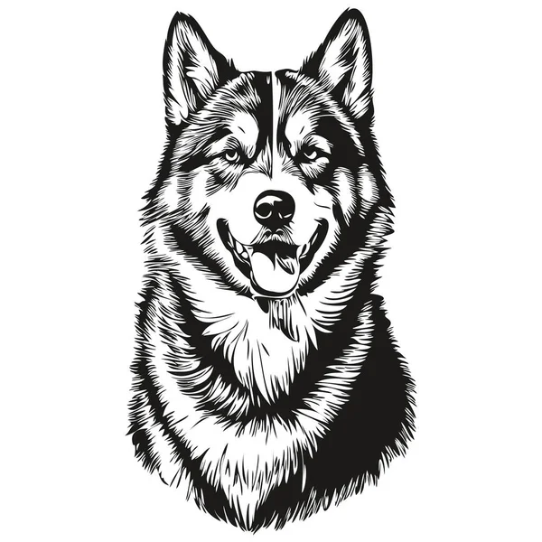 马兰杜犬铅笔画图矢量 图解宠物脸标识黑白逼真品种宠物 — 图库矢量图片