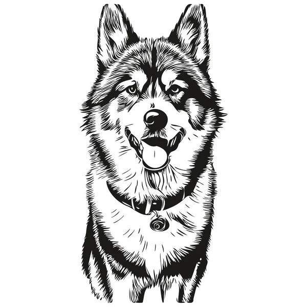 Malamute Pes Logo Vektor Černá Bílá Vintage Roztomilý Pes Hlava — Stockový vektor