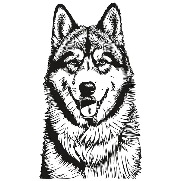 Malamute Pes Logo Vektor Černá Bílá Vintage Roztomilý Pes Hlava — Stockový vektor