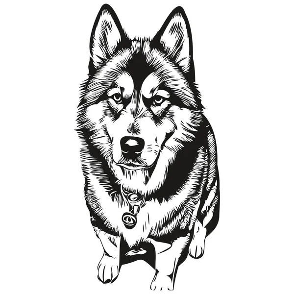 Эскиз Маламута Собак Черно Белый Векторный Рисунок — стоковый вектор