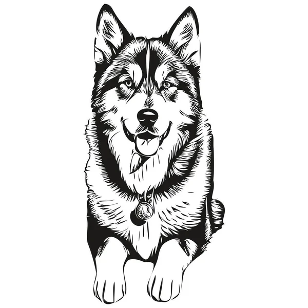 Malamute Hund Skizze Illustration Schwarz Weiß Gravur Vektor Realistische Rasse — Stockvektor