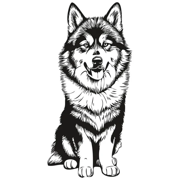 Malamute Perro Mascota Silueta Animal Línea Ilustración Dibujado Mano Negro — Vector de stock