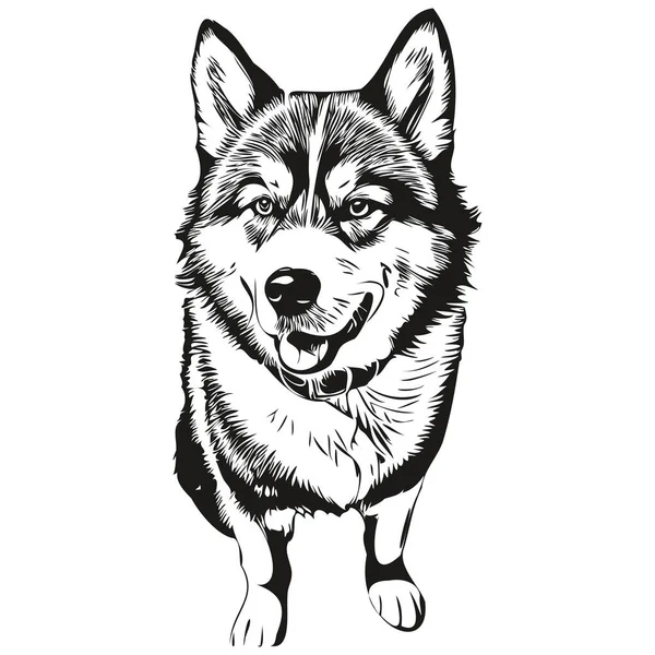 Malamute Hund Porträtt Vektor Djur Hand Ritning För Tatuering Eller — Stock vektor