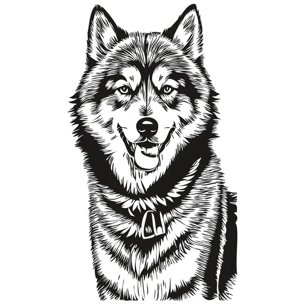 Malamute Hundeporträt Vektor Tierhandzeichnung Für Tätowierung Oder Shirt Print Illustration — Stockvektor