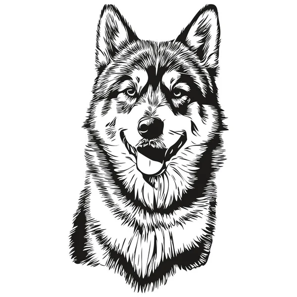 Malamute Pies Realistyczny Zwierzak Ilustracja Ręka Rysunek Twarz Czarny Biały — Wektor stockowy