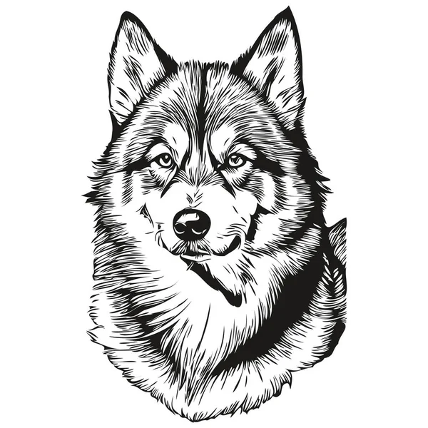 Malamute Hund Realistisk Penna Ritning Vektor Linje Konst Illustration Hund — Stock vektor