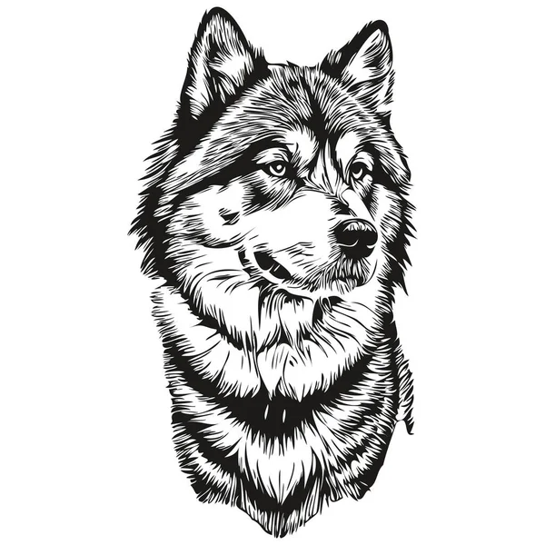 Malamute犬Tシャツプリント黒と白 かわいい面白いアウトライン描画ベクトル現実的な品種ペット — ストックベクタ