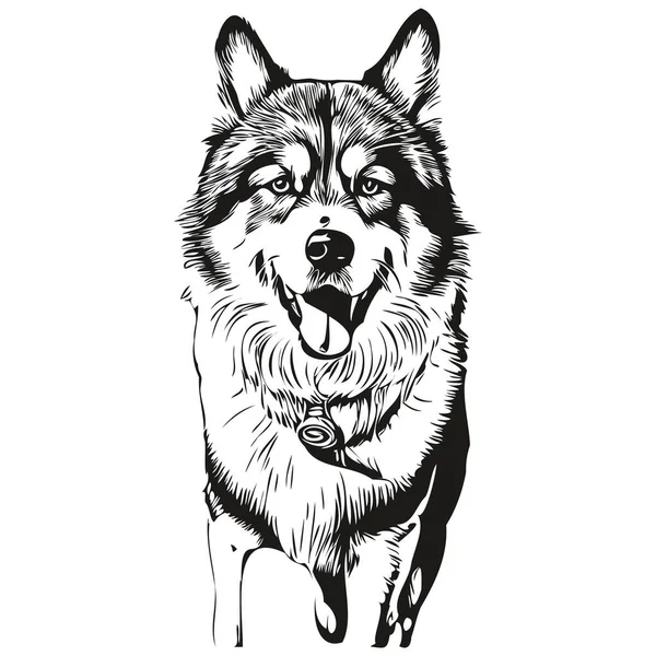 Malamute Hund Shirt Print Schwarz Und Weiß Süße Lustige Umrisszeichnung — Stockvektor