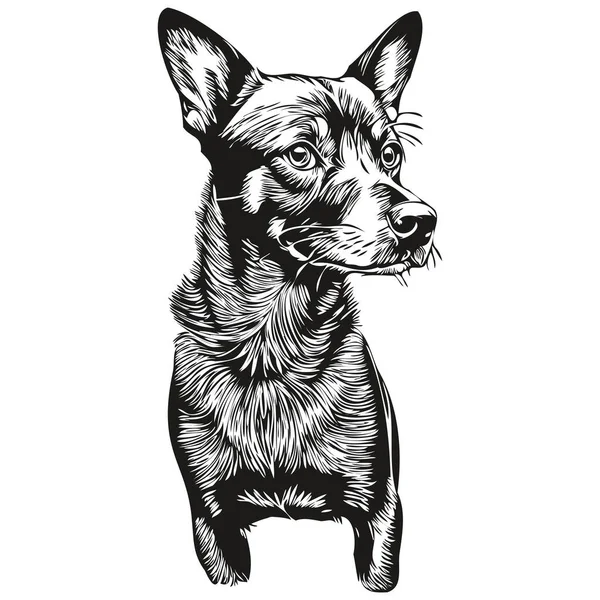 Manchester Terrier Perro Negro Dibujo Vector Cara Aislada Dibujo Línea — Vector de stock