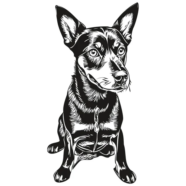 Manchester Terrier Perro Cara Vector Retrato Divertido Contorno Mascota Ilustración — Vector de stock