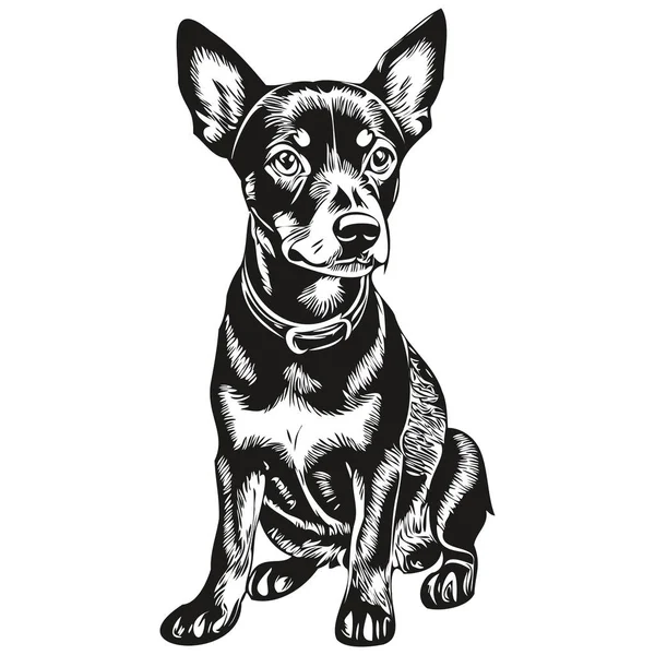 Manchester Terrier Köpek Çizgi Filmi Yüz Mürekkep Portresi Siyah Beyaz — Stok Vektör