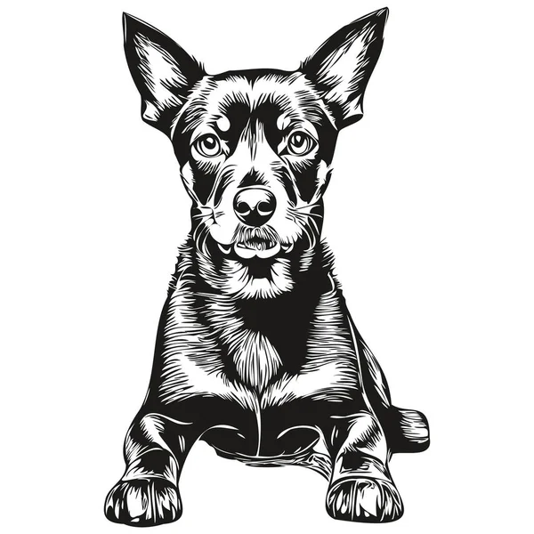 マンチェスター テリア犬の線イラスト 黒と白のインクのスケッチ顔の肖像画ベクトル — ストックベクタ