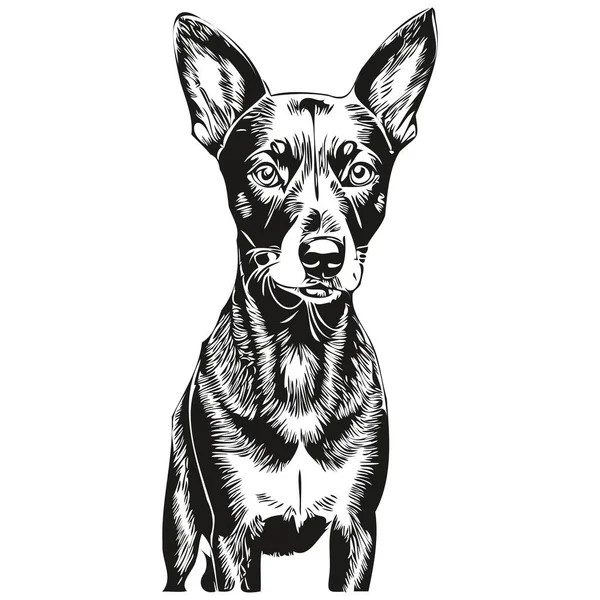 Manchester Terrier Perro Logo Vector Blanco Negro Vintage Lindo Perro — Archivo Imágenes Vectoriales