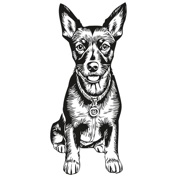 Manchester Terrier Pies Pet Skecz Ilustracja Czarny Biały Grawerowanie Wektor — Wektor stockowy