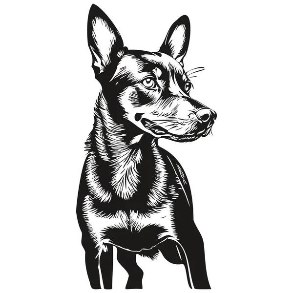 Manchester Terrier Σκυλί Μολύβι Χέρι Σχέδιο Διάνυσμα Περίγραμμα Εικονογράφηση Κατοικίδιο — Διανυσματικό Αρχείο