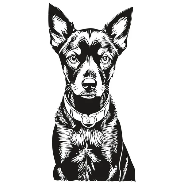 マンチェスター テリア犬の肖像画ベクトル 動物の手描きの入れ墨やTシャツのプリントイラスト — ストックベクタ