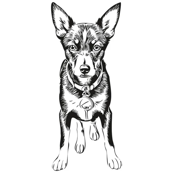 Manchester Terrier Perro Realista Mascota Ilustración Mano Dibujo Cara Negro — Vector de stock