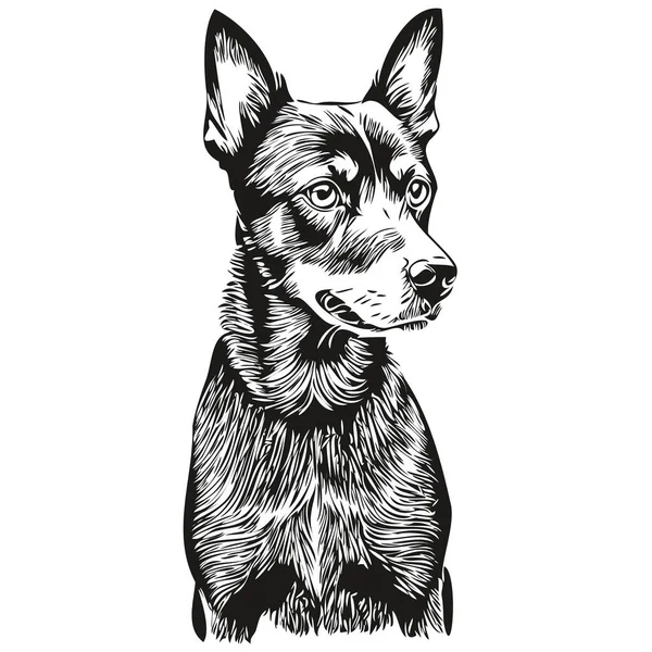 Manchester Terrier Chien Dessin Crayon Réaliste Dans Vecteur Illustration Art — Image vectorielle
