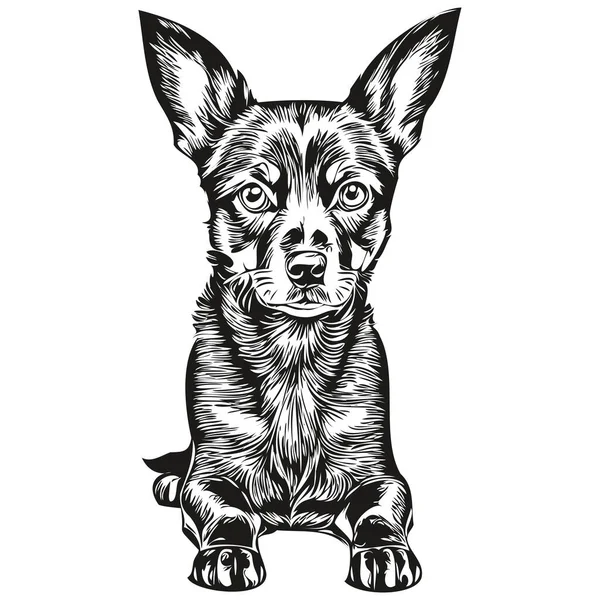 マンチェスター テリア犬のシルエットペットキャラクター 黒と白を描くクリップアートベクトルペット — ストックベクタ