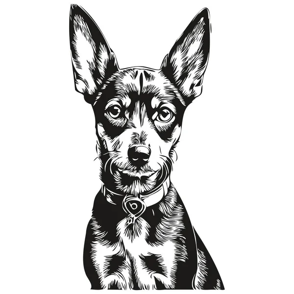 ミニチュアピンチャー犬漫画の顔インクの肖像画 黒と白のスケッチ描画 Tシャツプリント現実的なペットのシルエット — ストックベクタ