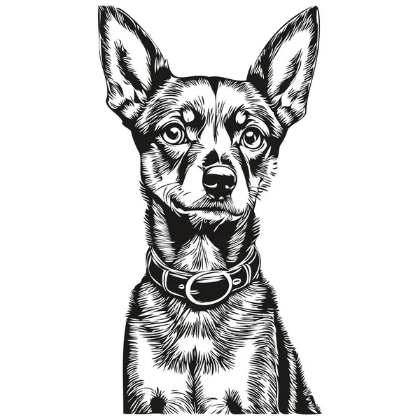 Miniatur Pinscher Dog Cartoon Face Ink Portrait Black White Sketch - Stok Vektor