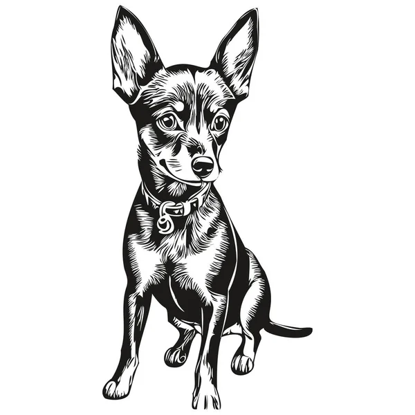 Μινιατούρα Pinscher Σκυλί Κινουμένων Σχεδίων Πρόσωπο Μελάνι Πορτρέτο Ασπρόμαυρο Σκίτσο — Διανυσματικό Αρχείο