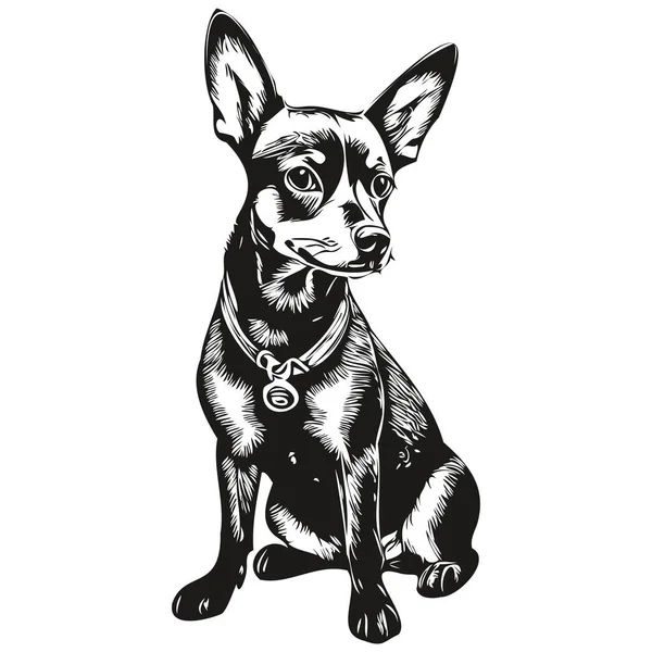 Миниатюрный Векторный Портрет Пинчеровской Собаки Лицо Рисунок Черно Белом Цвете — стоковый вектор