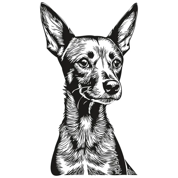 Miniatura Pinscher Pies Ręcznie Rysowane Logo Rysunek Czarno Biały Linia — Wektor stockowy