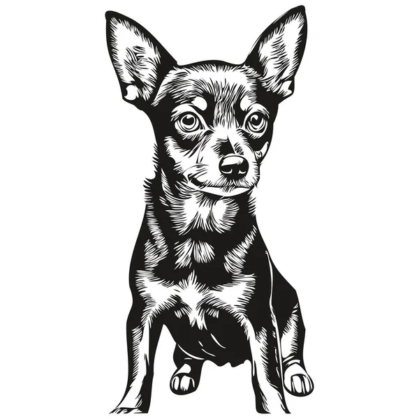 Miniatura Pinscher Pies Ręcznie Rysowane Logo Rysunek Czarno Biały Linia — Wektor stockowy