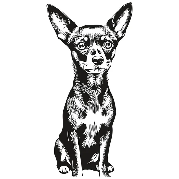 Miniatura Pinscher Cão Cabeça Linha Desenho Vetor Desenhado Mão Ilustração — Vetor de Stock